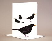 Four Colly Birds (set of 6)