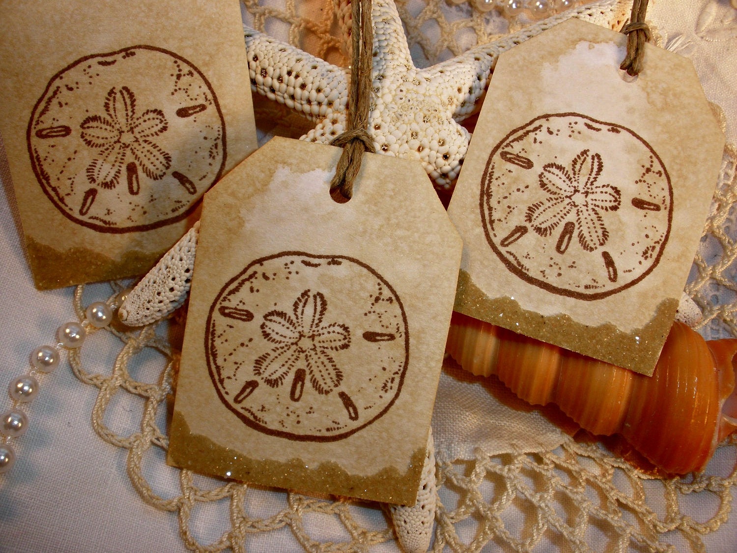 Sand Dollar Tags with Real Sand Accent Set of 6