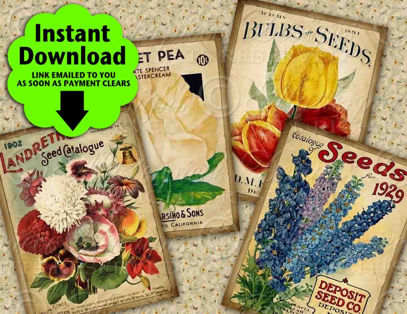 Garden Seeds Vintage / Seed Packets / Gardening - 2.5"x3.5" Designs / ATC, ACEO, Hang Tags, Instant Download and Print Digital Sheet