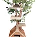 Mature (large) Cat Tree House