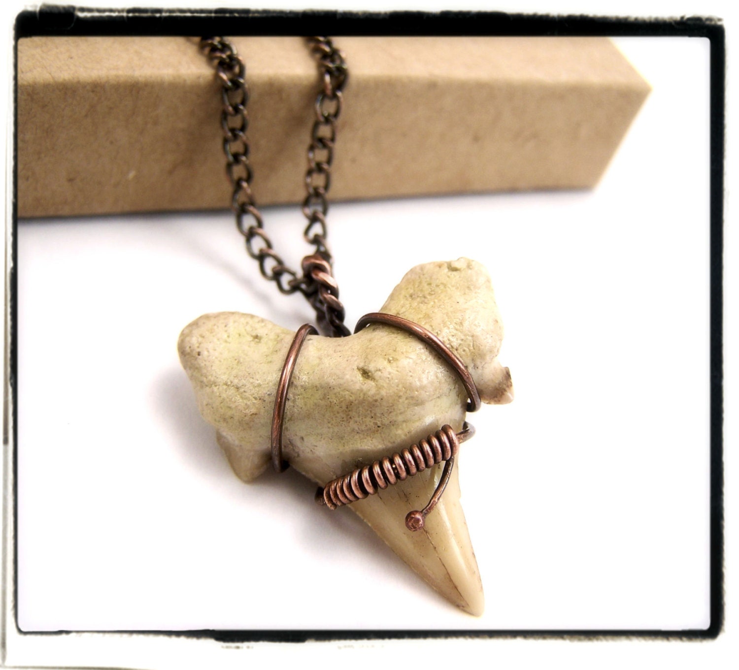 015 Shark Tooth Fossil Wire Wrapped Antique Copper Pendant