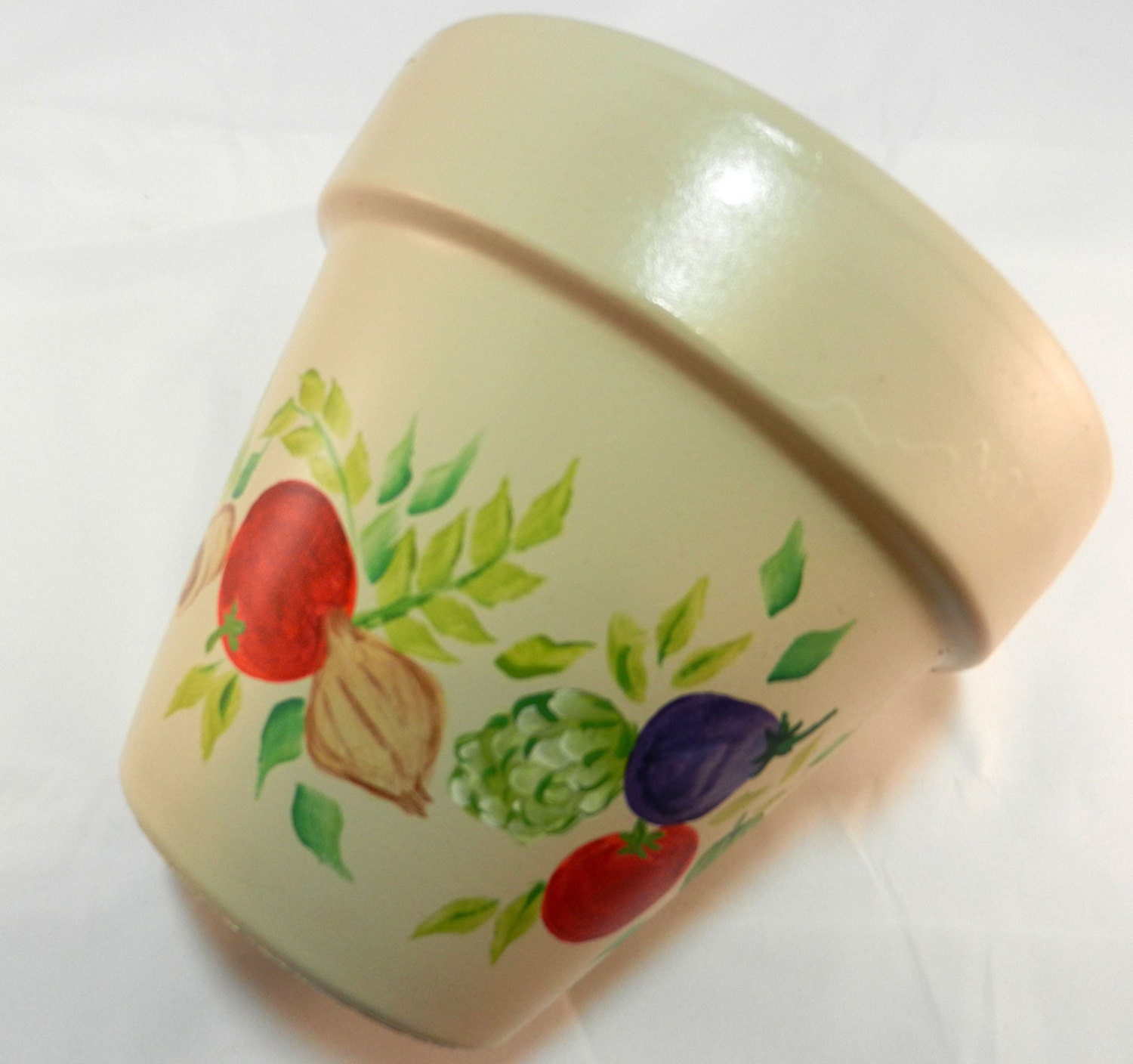 Handpainted TerraCotta Pot Planter