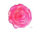 Where the Roses Bloom Again, print from original watercolor rose by Jessica Durrant