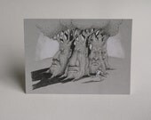 Haunted Grove Postcard