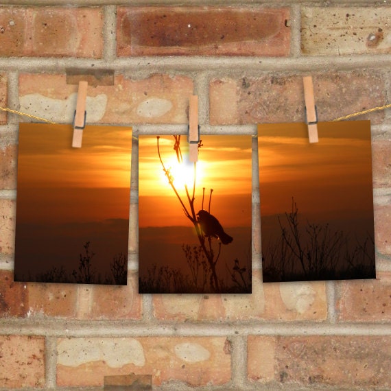 Sunset Silhouette set of three 5x7 triptych fine art photography prints, orange, golden, amber, sunset, prairie, Illinois nature photography