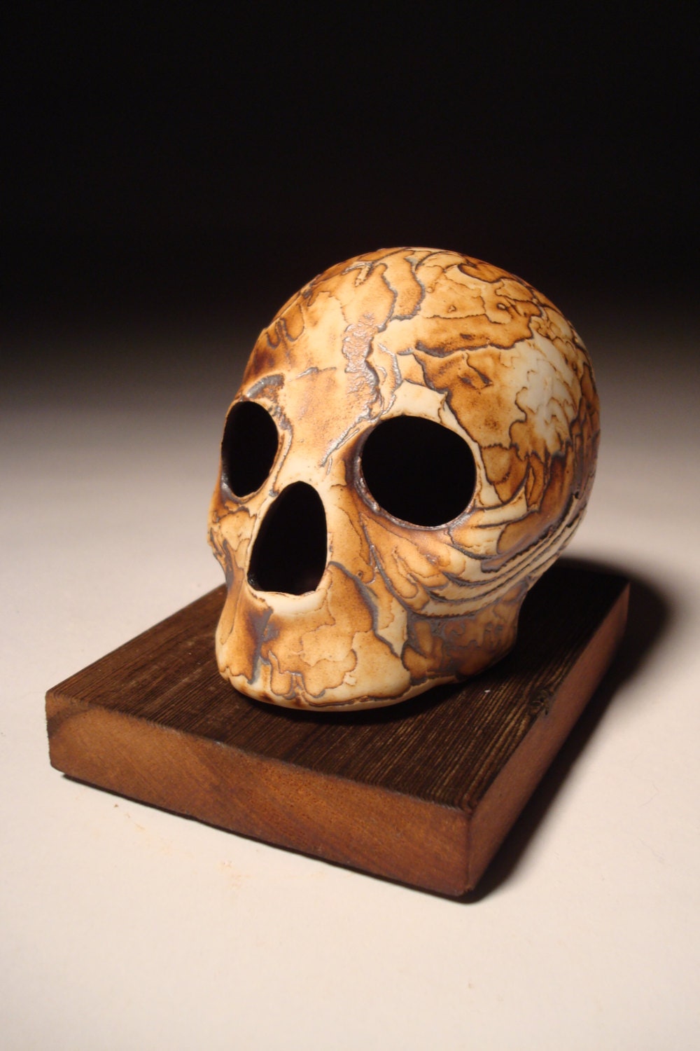Scale Wings Tectonic Textured Skull
