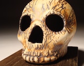 A Crow Scratches Rugged Skull