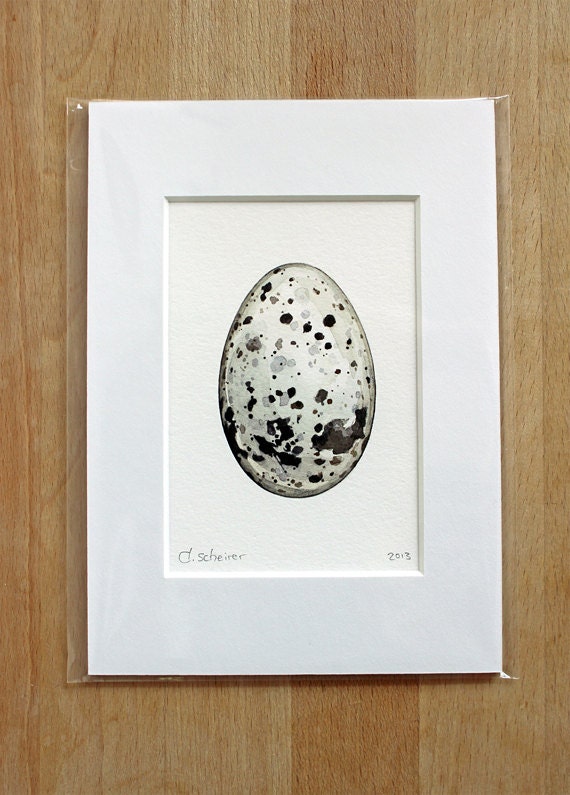 Razorbill Egg Watercolor Painting Print