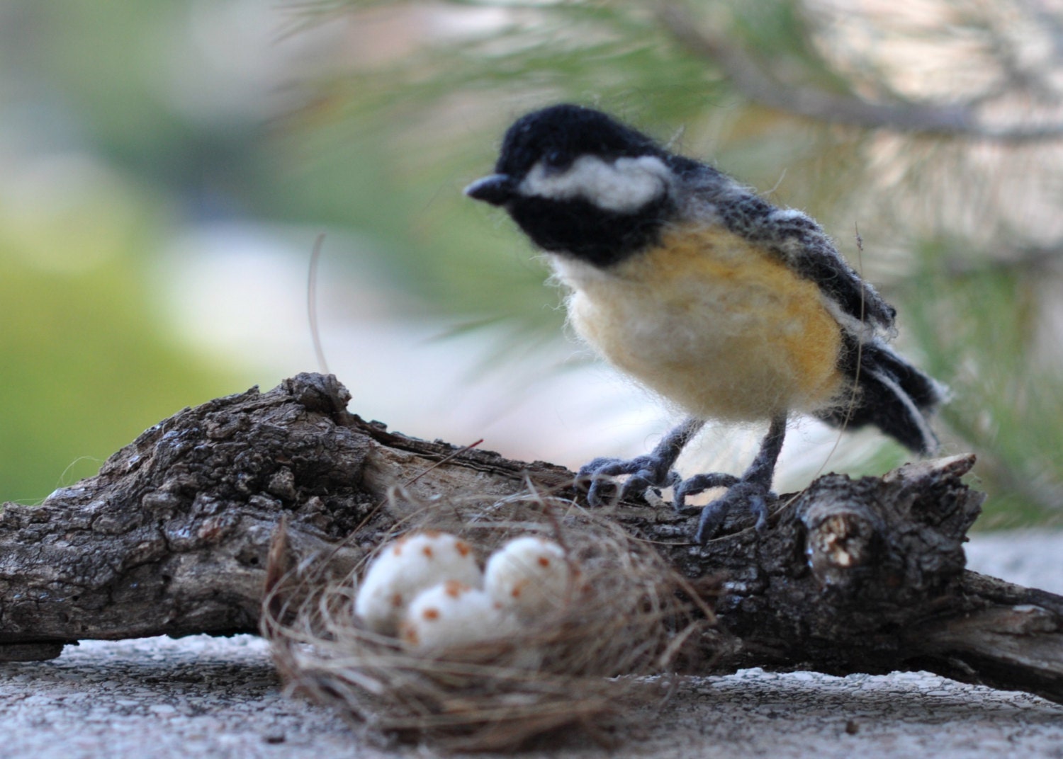 Needle Felted  Wool  Bird-Chickadee with the nest.-Lifesize Soft Sculpture-needle felt by Daria Lvovsky