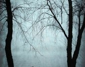 Nature's Gate 8x10  Photograph