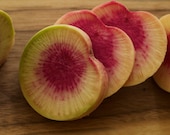Organic Watermelon Radish Daikon seeds