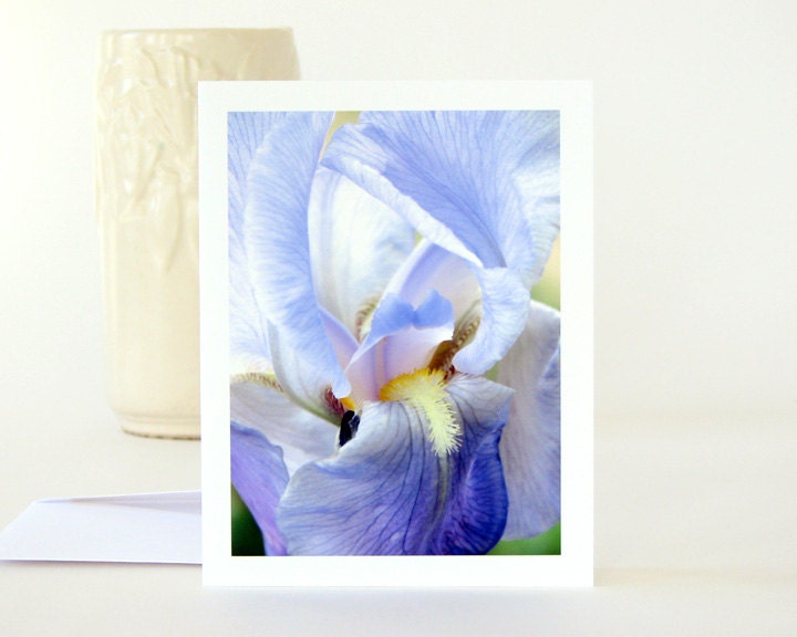 Floral Photography Note Card, Pale Blue Iris Flower, all occasion blank stationery notecard, macro photograph pastel blue violet - MaryFosterCreative