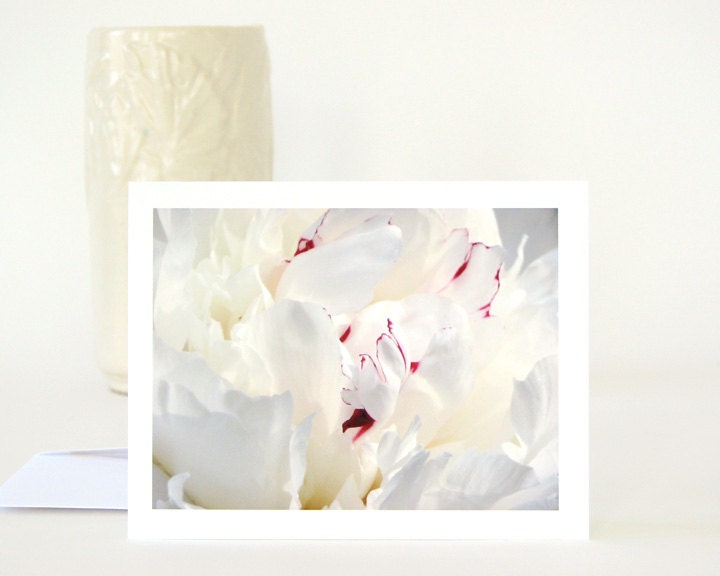 Peony Flower Petals Photography Note Card, soft white floral photo stationery, all occasion, wedding, Mother's Day, sympathy