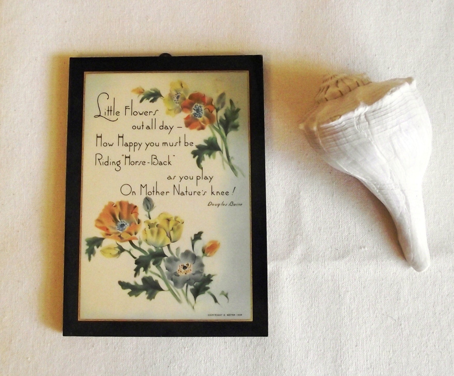 Vintage Charming Poppy Flowers Little Picture Plaque 1939