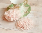 Bridal shoe clips, pastel clip, pink ruffle clips, wedding accessories