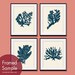 Underwater Sea Coral Collection (Series F) -Set of 4 - 8x10 Art Prints (Featured in Navy and Soft Cream)
