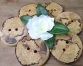 Wood Buttons - 6 Spalted Maple Wood Tree Branch Buttons - 1 3/4 inches, 2 holes, For Journals, Purses, Knitting, Pillows