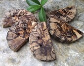 5 Spalted Maple Wood Wooden Tree Branch Toggle Buttons - 2 holes, 2 3/8 x 1 1/4 inch, Perfect for Journals, Pillows, Knitting and Sewing