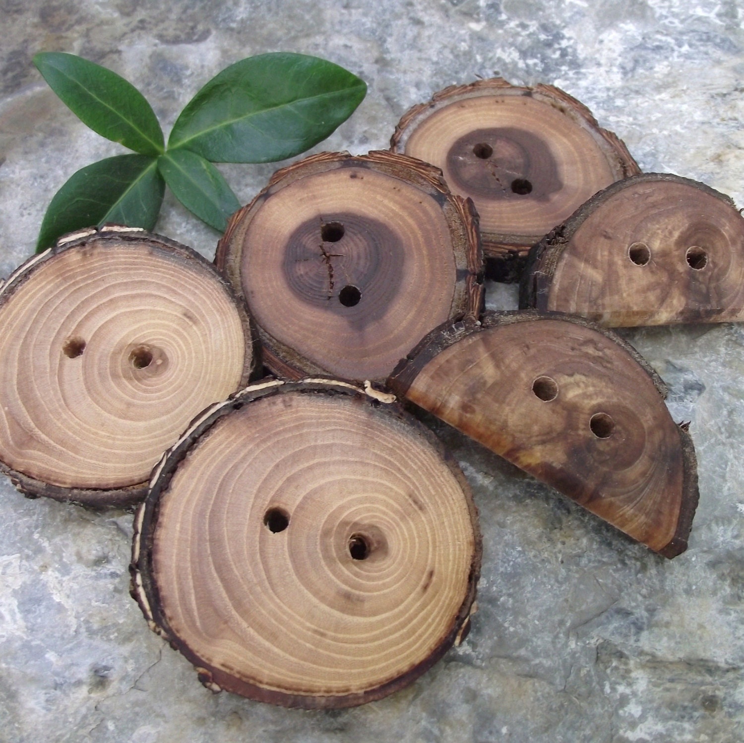 Wood Buttons - Assorted Wooden Buttons - Ohio Tree Branch Button Assortment - For Journals, Pillows, Handbags, Crochet, Knitting and Sewing