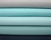 Kona Bundle Inspired by Aqua Colorway of Salt Water by Tula Pink -  Fat Quarter Bundle