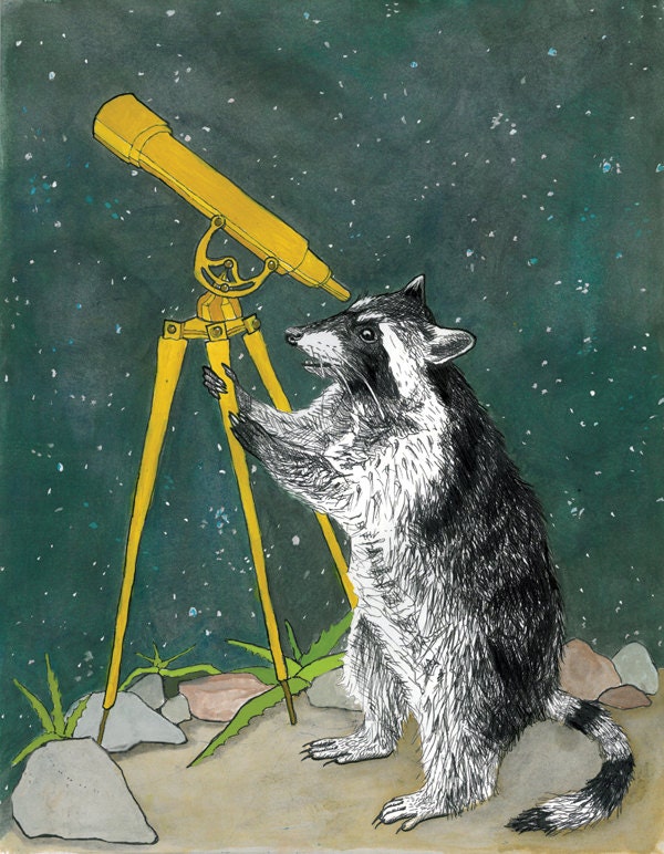 Raccoon - Animal Messengers Print 8x10