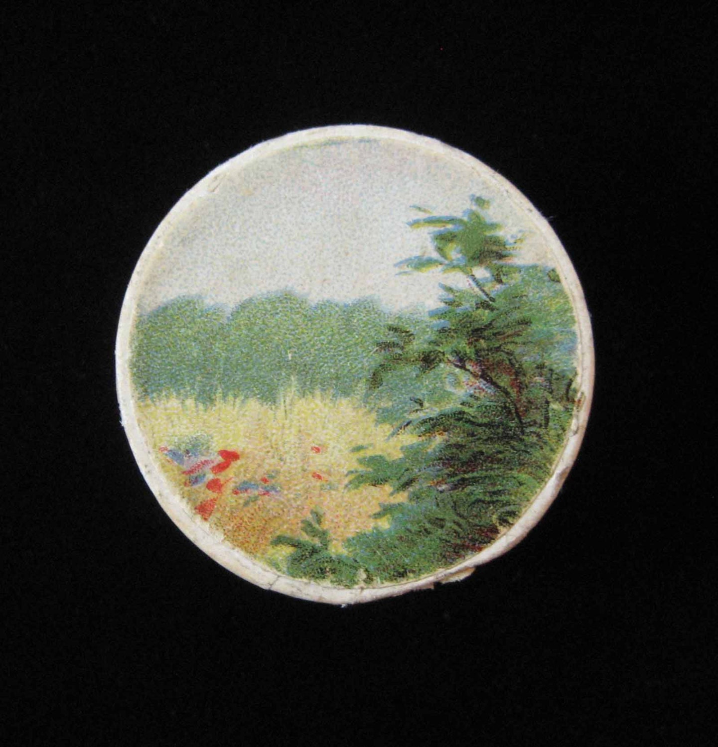 1920's Cardboard Jewelry Box from Germany, Mountain Design
