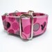 1.5" Martingale Collar, Greyhound Mod Dots, Pink