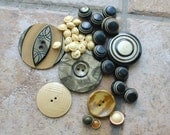 Celluloid BUTTONS Lot of 35