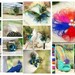 Shoe Clips Peacock & Rooster Feathers. Photo Prop Girls Night Party Gift, Metallics Bronze Teal, Boudoir Burlesque, Couture Bridesmaid Bride