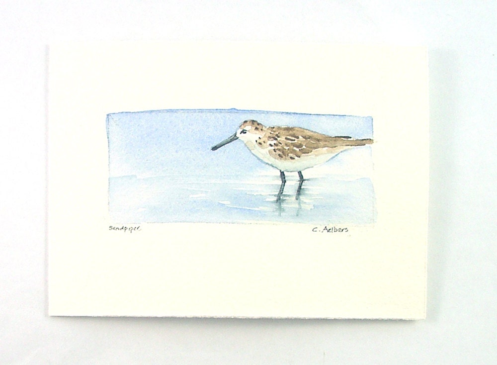 Sandpiper Bird Art, Original Watercolor