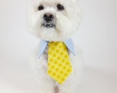 dog tie- shirt and tie collar- bright polka dot tie- wedding dog tie- cat tie- pet tie- green- turquoise- yellow