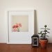 Hello - Still life photography, vintage style, rotary phone, pastel pink and mustard yellow, mad men, feminine wall decor 8x8 Print