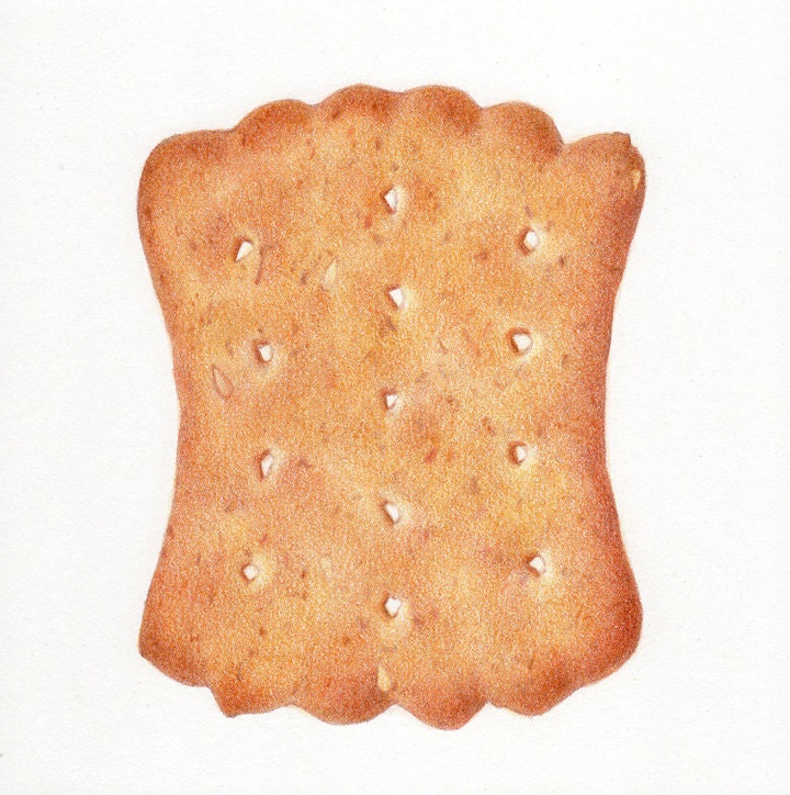 Wheat Biscuit - ORIGINAL Colored Pencil Drawing - Digestive Biscuit - Gourmet Wheat Cracker - Realistic Food Art