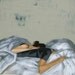 Sweet Dreams . large giclee art print poster of original cozy couple in bed painting