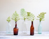 Vintage Glass Bottle Collection