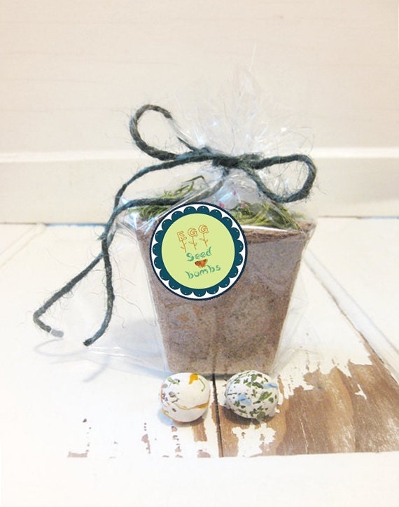 Seed Bomb Flower Plant Kit. 2 seed egg balls, Container Dirt Moss Food Forget-me-nots