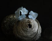 Wasp Nest Dutch Inspired Still Life Photography  Hydrangea  and Wasp Nest 8x10 - lucysnowephotography