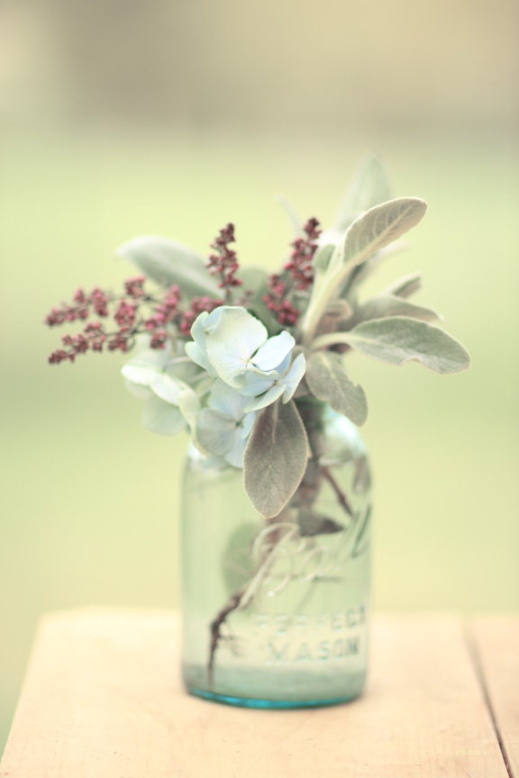 Summer Greens Still Life Photography of a Plants in a Ball Jar