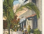 Vintage Florida Postcard - Coral Gables - Miami - A Glimpse of a Spanish Villa