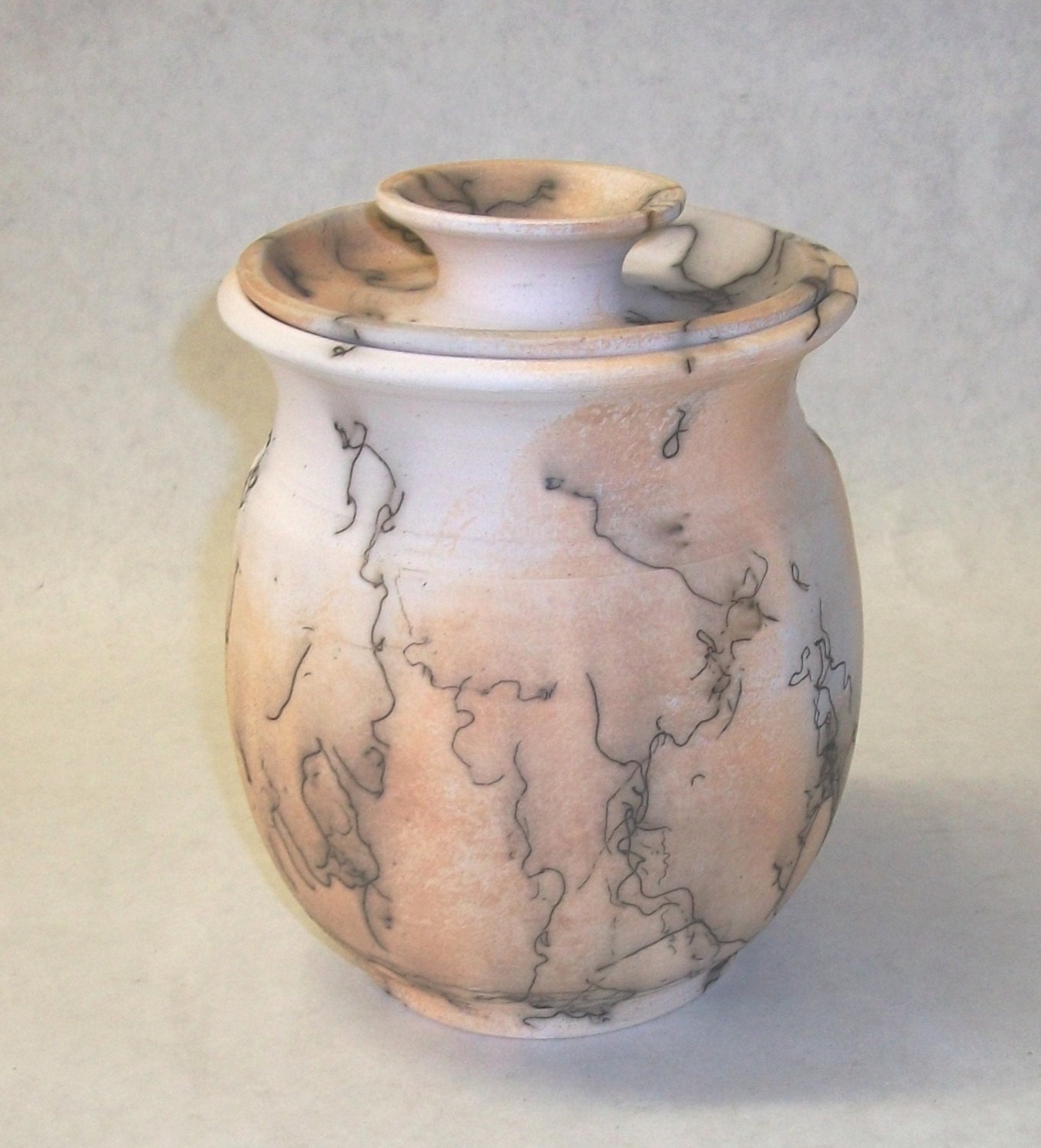 Horsehair Raku Canister