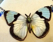 Beautiful Blue and White Butterfly necklace