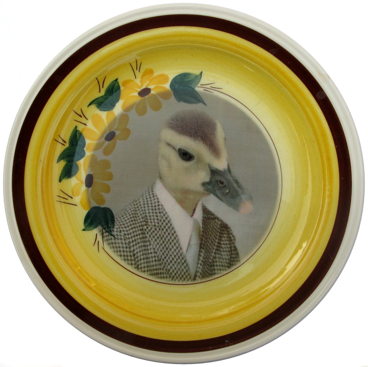 Howard the Duck School Portrait - Altered Retro Plate