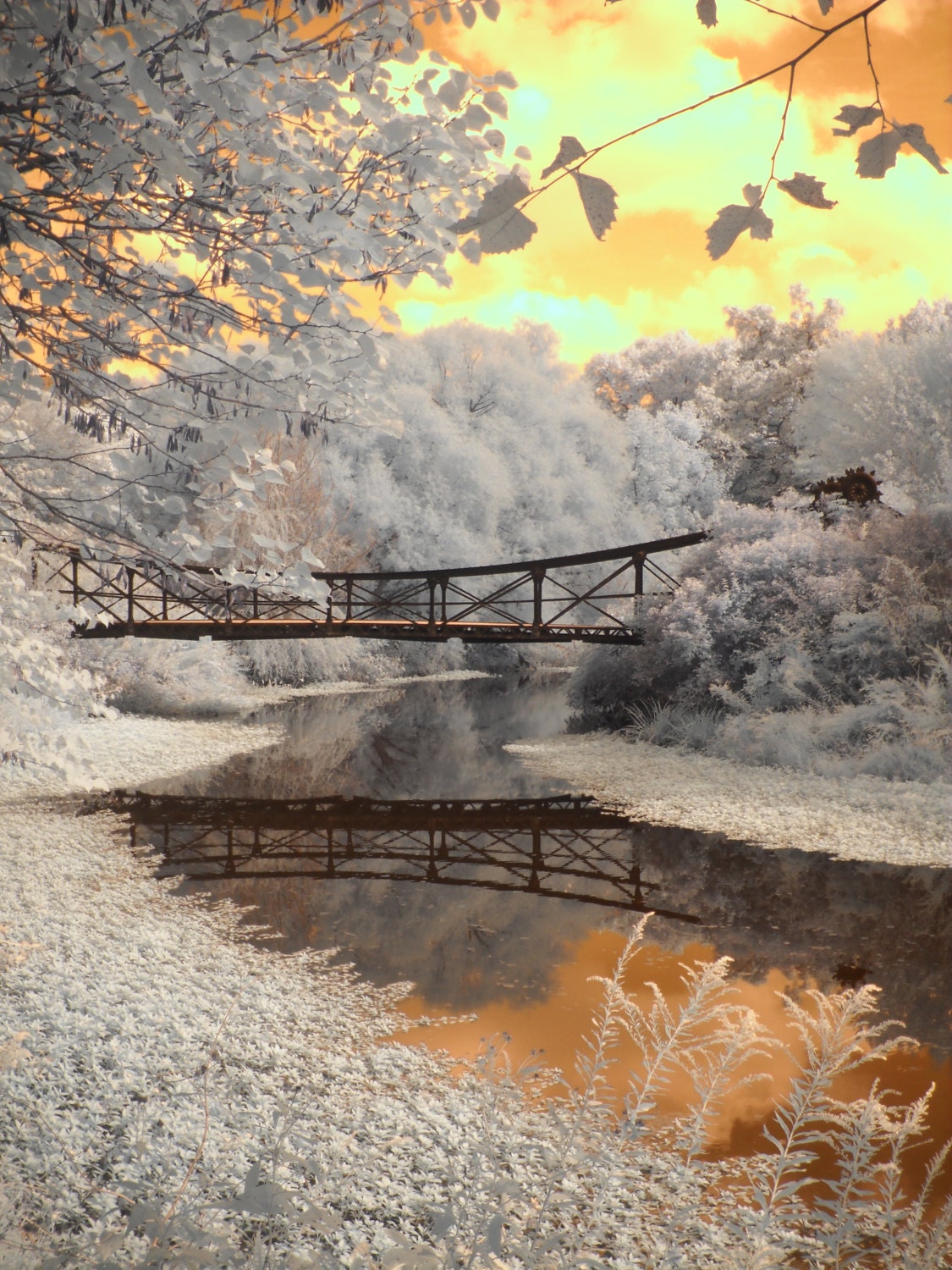 Forest Park Bridge