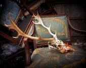 Fallow Deer Skull // Garden // Fully Collaged Skull