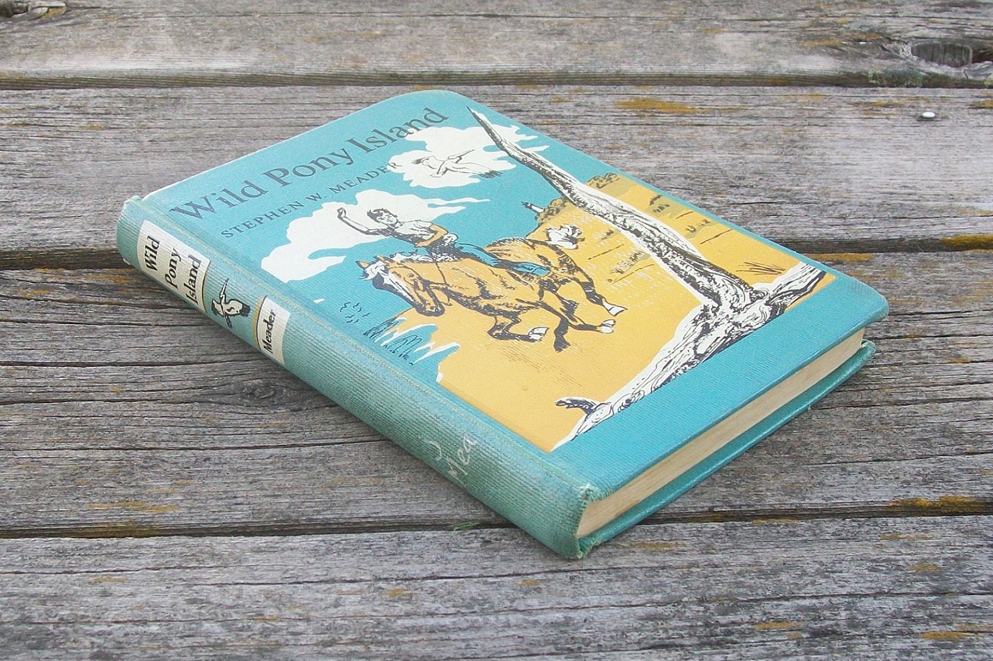 Vintage book Wild Pony Island by Stephen W. Meader 1959