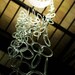 TWIRL Light installation - Ecological - Eco friendly - Recycled glass