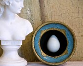 Bird Egg