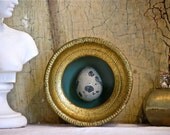 Florentine Egg Display
