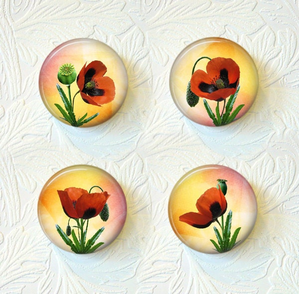 Magnet Set Red Poppies "Buy 3 get 1 Free"  286M