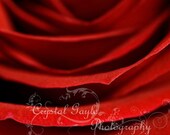 Flower Print Set of Two 5x5 Macro Photography Fine Art Flower Print Home Decor Red Wall Art